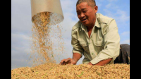 吉林省粮食播种面积达到 9000 万亩，这一数据说明了哪些信息？