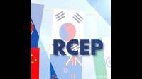 宜兴海关签发输印尼 RCEP 原产地证书，这给当地经济发展带来了哪些助力？