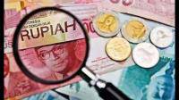 泰国央行支持更多地使用人民币进行