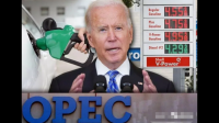 欧佩克称「到 2045 年石油行业需要