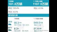 多家新能源车企公布 7 月销量和交付成绩单，这透露了什么信息？