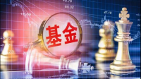 在中植基金app上买的公募基金提现了，下周能安全到账吗？