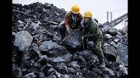 焦煤主力合约日内涨 4.00%，现报 1766.50 元/吨，主要受哪些因素影响？