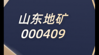 谁知道之前的潍坊证券公司改名或更名成什么公司了吗？