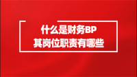 大公司里财务BP这个岗位在做什么呢？