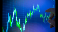 金龙鱼股票指数上涨是受到哪些因素的影响？