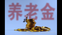 个人养老金投资产品日渐丰富，你对个人养老金有哪些看法？
