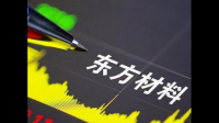 东方材料是一家怎样的企业？