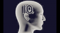 中国人的智商在世界范围内顶尖是真的吗？