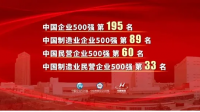 中国民营企业 500 强,安徽 7 家入选