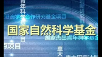 地区科学基金项目与国家基金有什么区别？