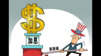 尼日利亚央行加息 50 个基点至 18.5%，此次加息会给当地带来哪些影响？