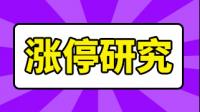 神工股份与三菱材料在锦州成立新公司，该公司发展前景如何？