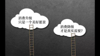你是如何理解消费降级的？