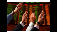 2015年股灾发生的根本原因是什么?