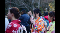 两年来经横琴口岸进出境逾 2100 万人次,这一数据透露了哪些信息?