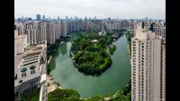 中远海控的未来发展前景如何？