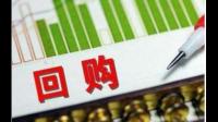 中望软件拟 1500 万元 -3000 万元回购公司股份,从商业角度如何看待企业此举?