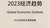 印度财长西塔拉曼称印度经济将在 2024 财年增长 6.5%,当地未来经济走势如何?