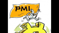 日本 5 月制造业 PMI 初值 50.8，这一数据透露了哪些信息？