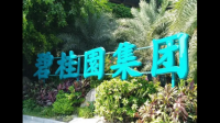碧桂园于宽限期内偿付两笔境外债票息，目前该企业经营现状如何？