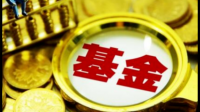 今年有人买基金赚到钱了吗？